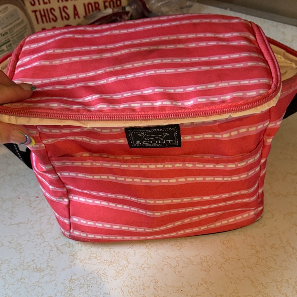Scout Pink and White Striped Cosmetic Bag